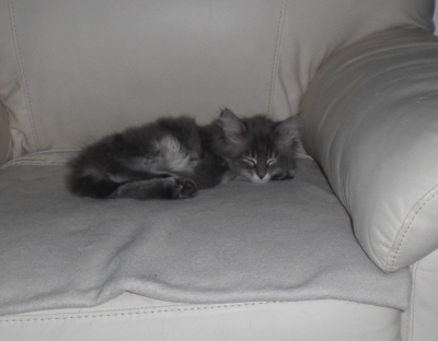 Maja (14)